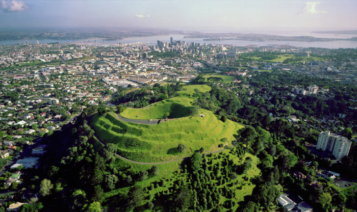 Top down view of an Auckland suburb