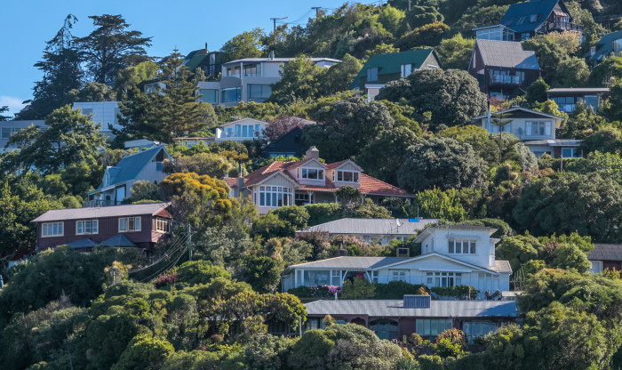 Houses on a hill in christchurch